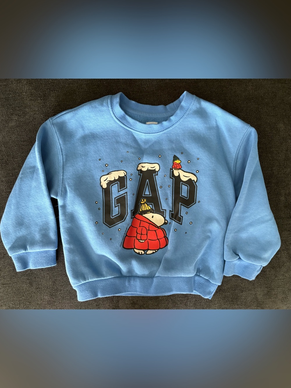 GAP Kids Light Blue Crewneck Sweatshirt with Winter Bear Graphic